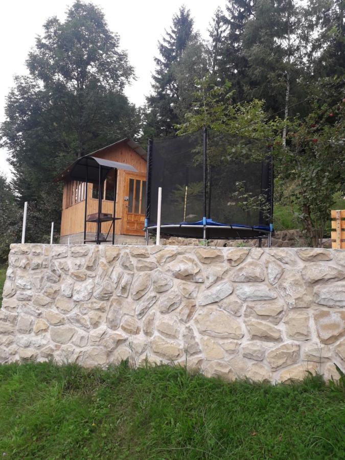 Смериковий Jaremtsche Exterior foto